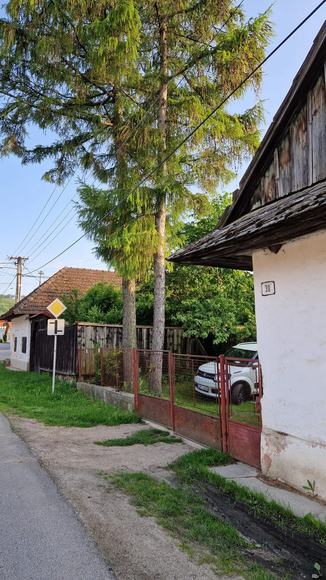 BEFORE renovation (05/2023) — street view with the distinctive larch tree (larix) after which the guesthouse is named; further historic buildings of Blatnica village in the background