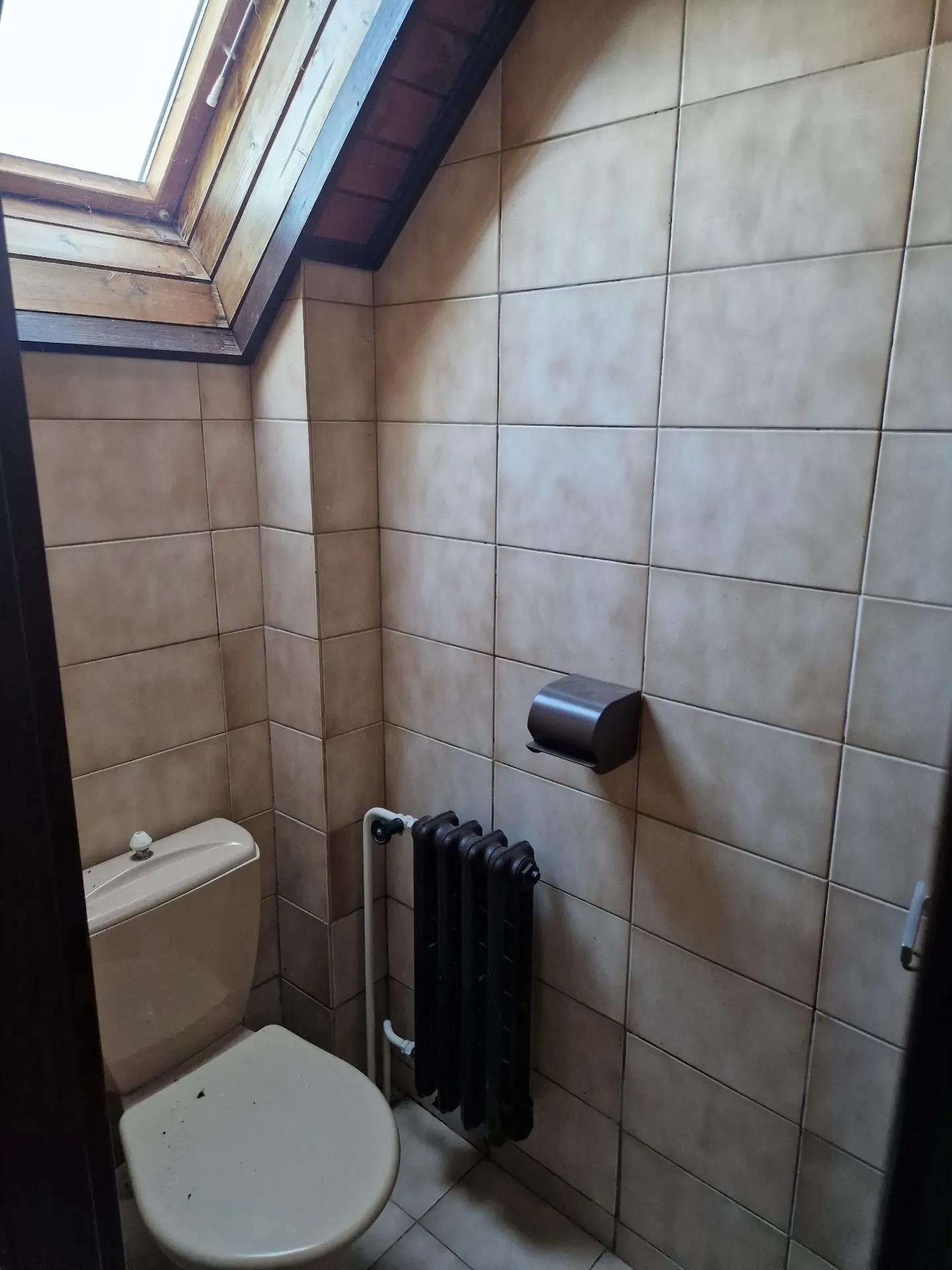 BEFORE renovation (08/2024) — original toilet under a skylight.